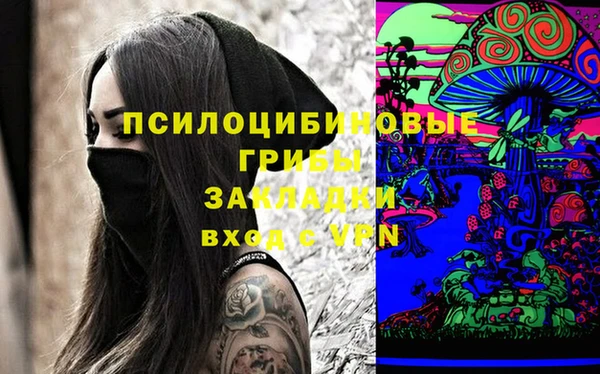 ешки Алзамай