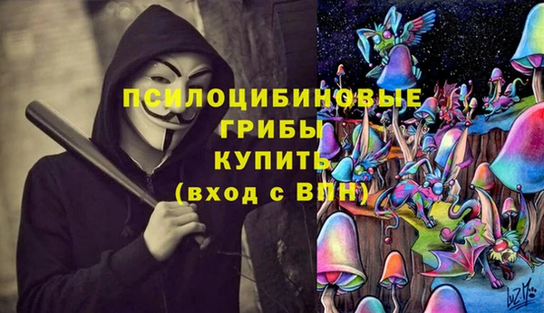 ешки Алзамай